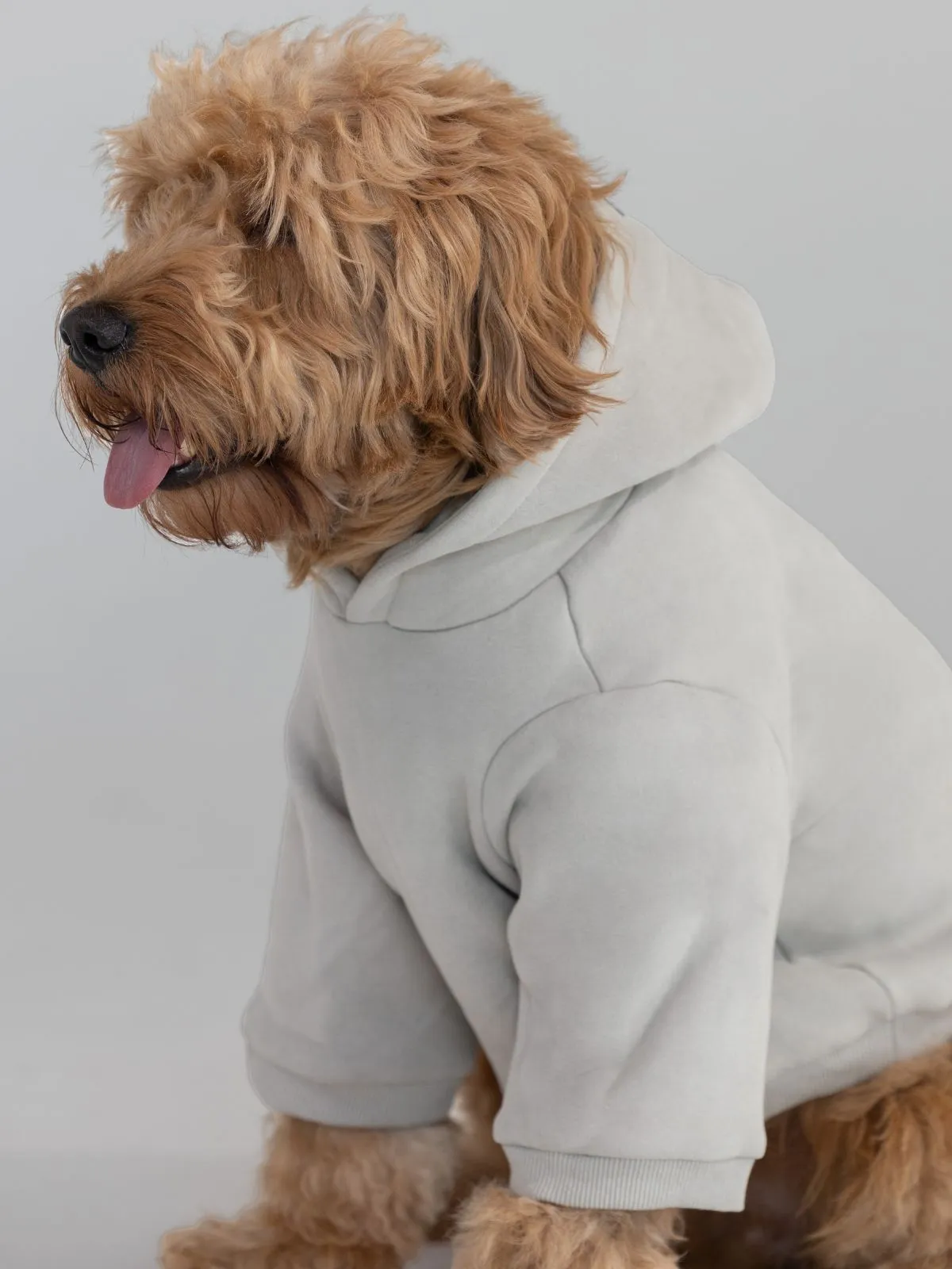 Coordinate Paw Hoodie