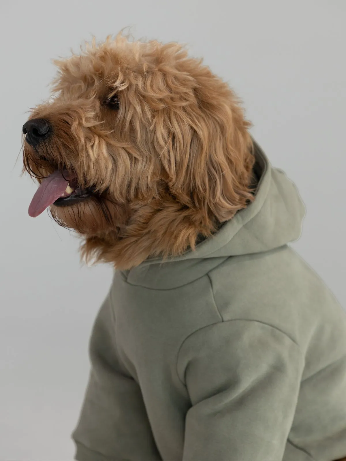 Coordinate Paw Hoodie