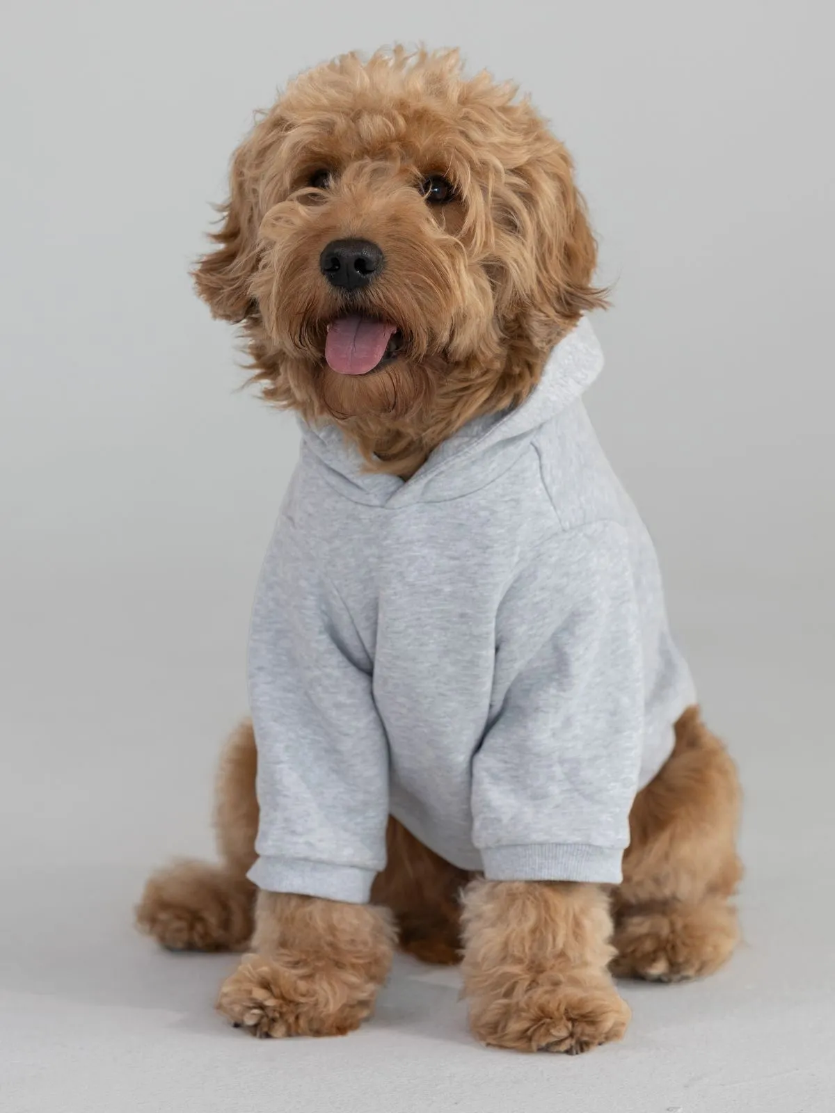 Coordinate Paw Hoodie