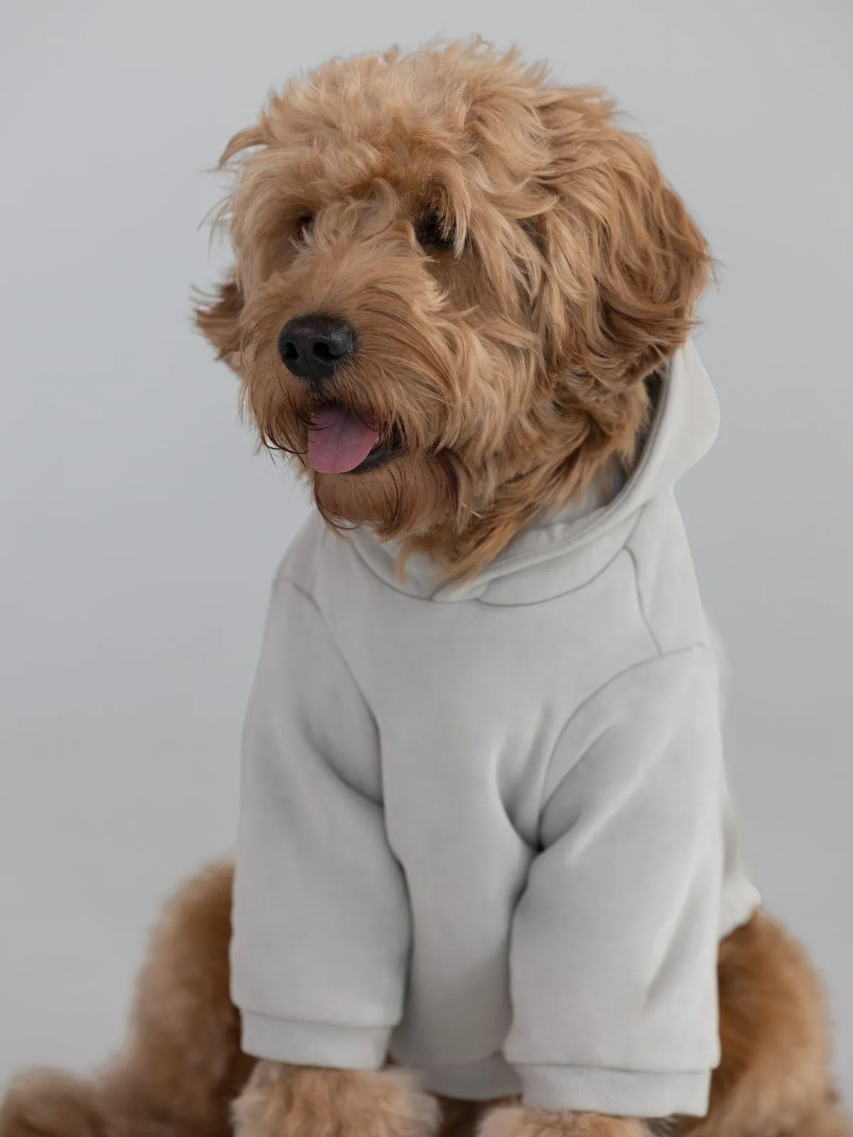 Coordinate Paw Hoodie