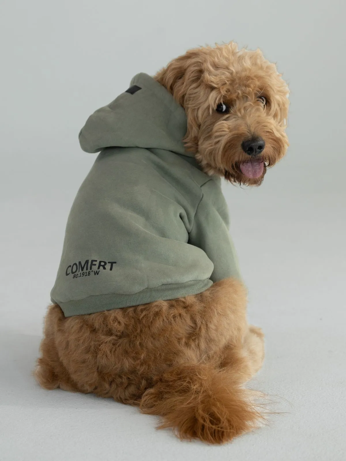 Coordinate Paw Hoodie