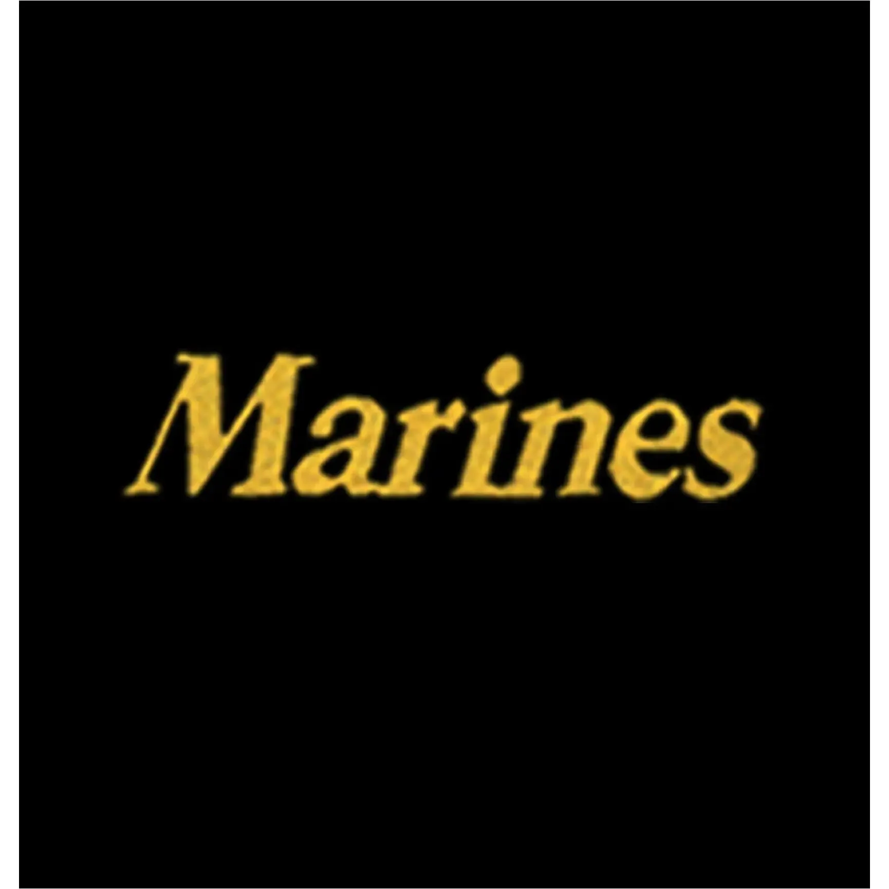 Marines Embroidered Hoodie