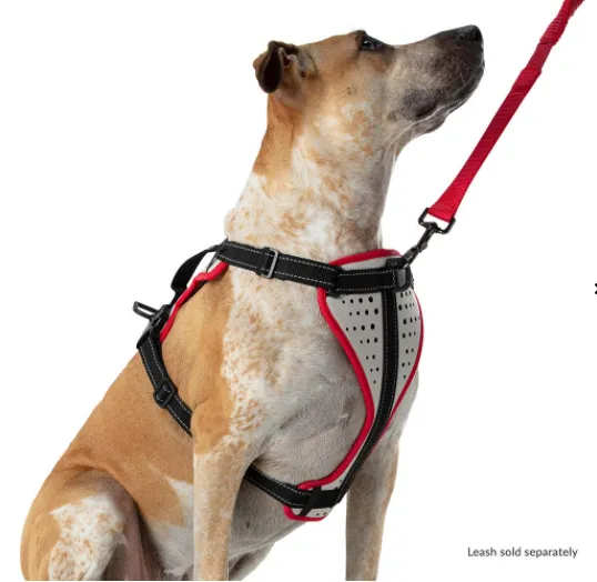 Nathan Dog Harness