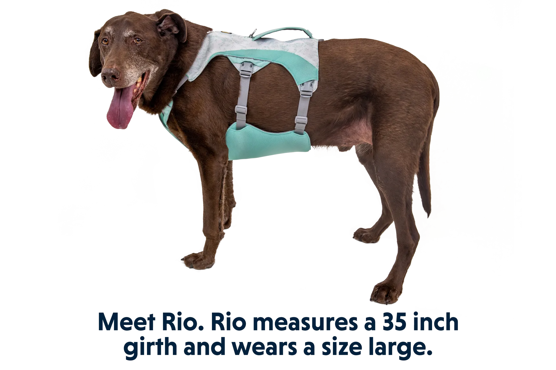 RP - Swamp Cooler™ Dog Cooling Harness